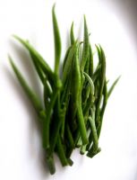 CÂU CHUYỆN VỀ...”TUYẾT SƠN HỒNG TRÀ”