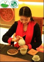 Thầy ta đang ở đâu