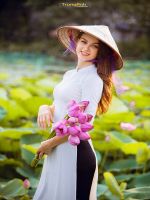 Các loại Trà Sen Tây Hồ ướp Chè Tân Cương Thái Nguyên