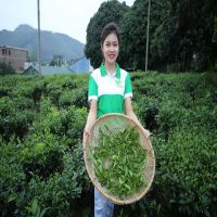 Tình hình tài chính trong hoạt động kinh doanh Chè Thái Nguyên