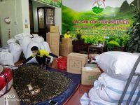 Địa chỉ Mua Sỉ Trà Thái Nguyên tại HCM uy tín nhất