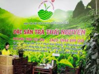 TOP 5 loại Trà Lài, Chè Hoa Nhài tại Ninh Bình ngon nhất