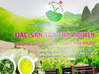 TOP 5 loại Trà Lài, Chè Hoa Nhài tại Cao Bằng ngon nhất
